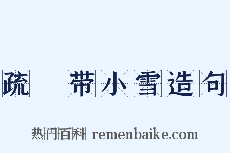 疏泬带小雪造句是什么意思的图片